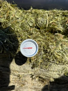 Lytse Lea Hiaure kuiltemp