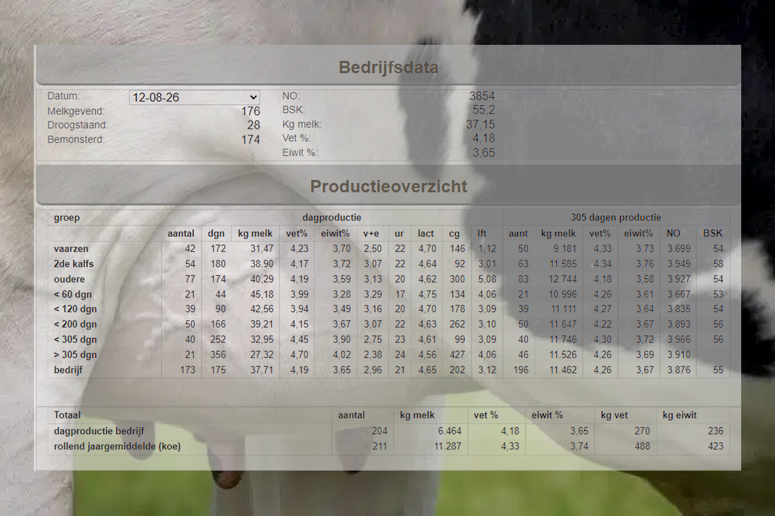 MPR + koe perfect