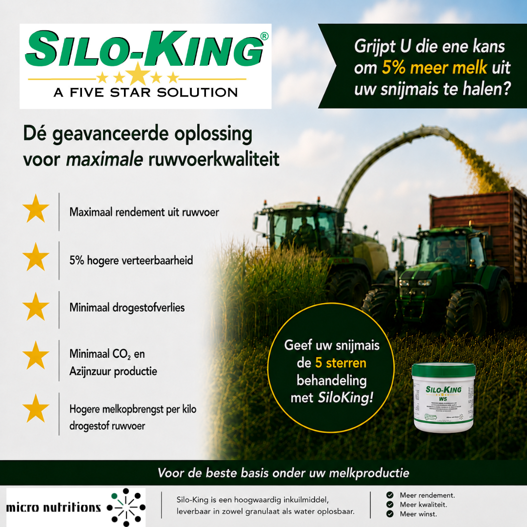 SK definitief b