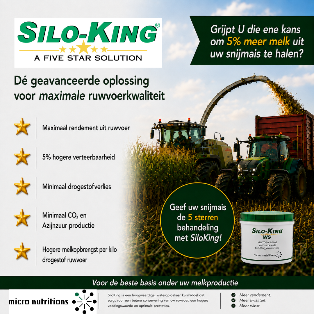 SiloKing 4 b