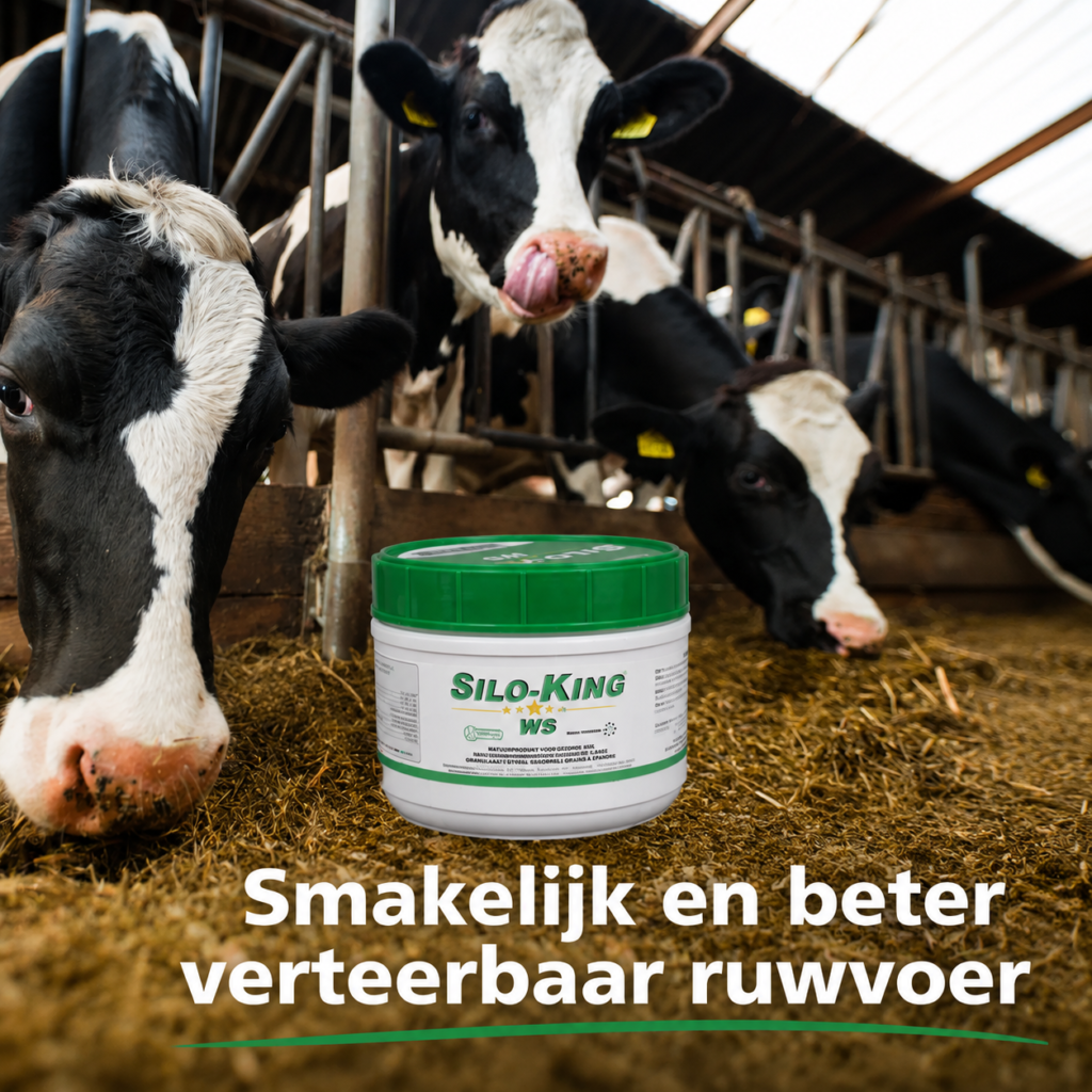 SiloKing Koeien