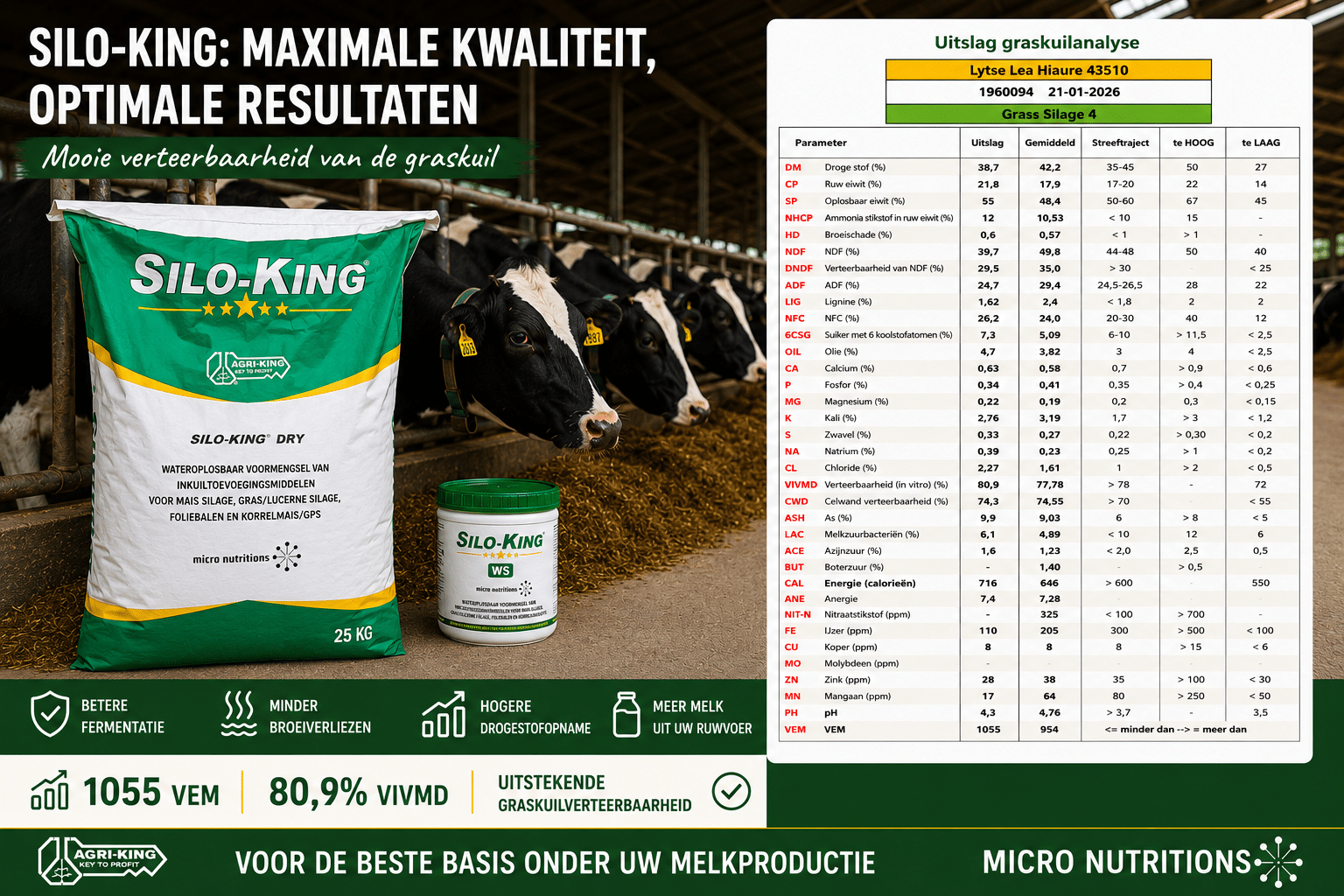 SiloKing, “Voor de beste basis onder uw melkproductie” SiloKing, “Voor de beste basis onder uw melkproductie”