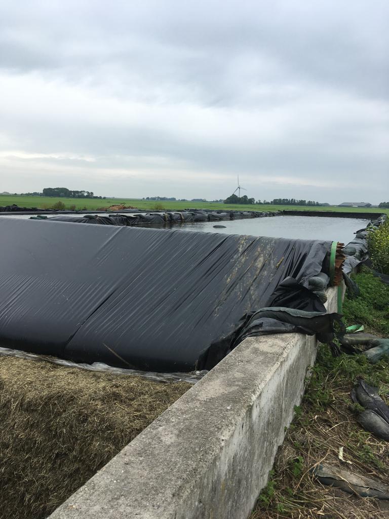 Super score 1e snee graskuil Lytse Lea