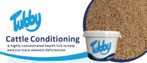 Cattle conditioner