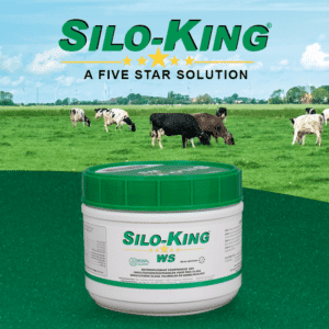 Silo-king WS