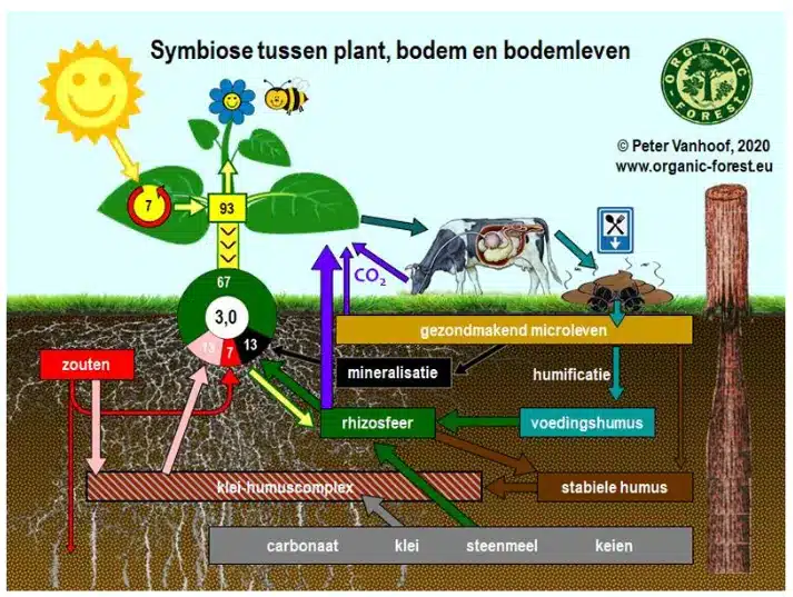 Bodem optimaliseren om verlies van derogatie op te vangen